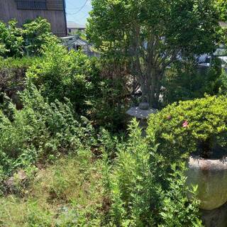 草刈り、清掃アルバイト（定期的にあります）の募集の画像