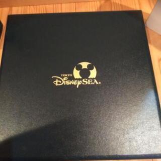ディズニーシー　オープニングプレートの画像