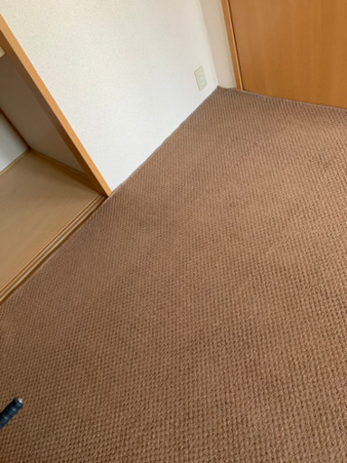 売り切れました　カーペット　ブラウン　6畳用