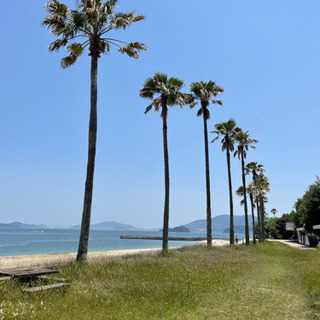 ★ 裏千家流茶道教室・しげとみ★の画像