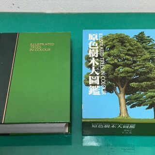 「原色樹木大図鑑」カラー イラスト 定価35,000円 昭和60年発行 北隆館の画像