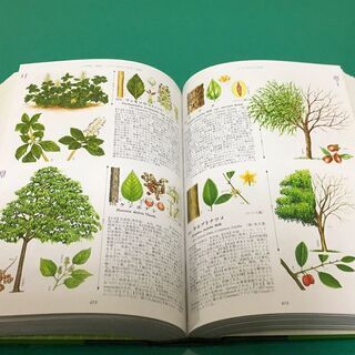 「原色樹木大図鑑」カラー イラスト 定価35,000円 昭和60年発行 北隆館の画像