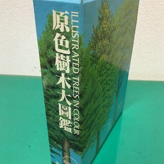 「原色樹木大図鑑」カラー イラスト 定価35,000円 昭和60年発行 北隆館の画像