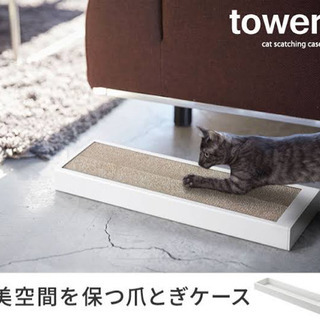 猫　爪研ぎ　爪磨き