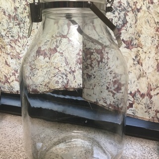 果実酒　瓶 4L (複数あり)