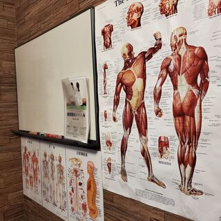 ストレッチの資格を取ろう！　パーソナルトレーナー養成スクール個別説明会の画像