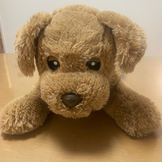 《最終値下げ！》もっとおはなしDacky  ７月９日までの画像