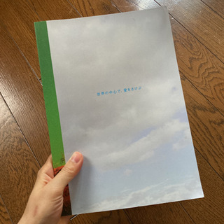 【無料】世界の中心で愛をさけぶ初版限定DVDボックスの画像