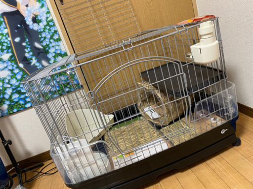 うさぎのゲージetc..