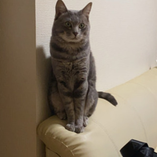 五右衛門♂