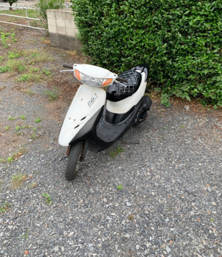ライブディオZX仕様　原付　バイク　車体　50cc