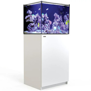 Red Sea REEFER250 XL200