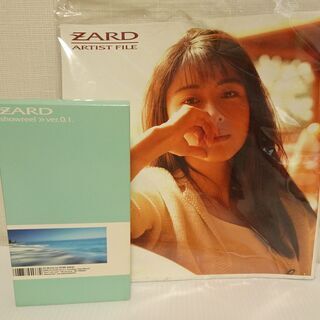 レア品　ZARD 秘蔵(？)VTR インタビューブック（フォト集...
