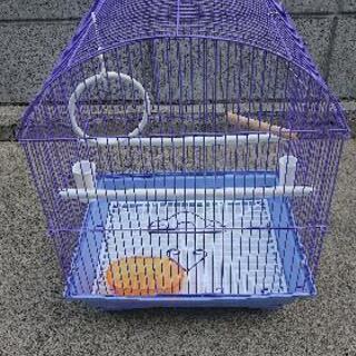 鳥かご