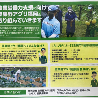 ★作業スタッフ大募集の画像