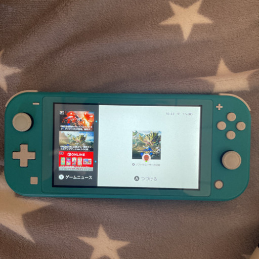 その他 Nintendo switch lite