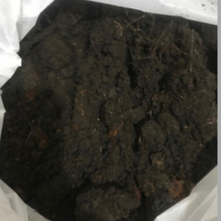 残土⑨ ほぼ黒土　25袋