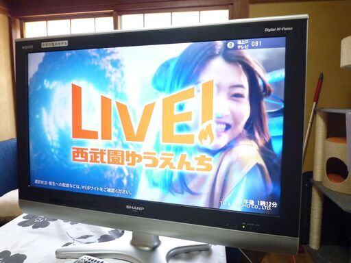 シャープ液晶地デジテレビ32インチ亀山モデル（LC32E5）09年製動作品