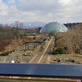 一緒に花回廊に行ってくれる方募集中!