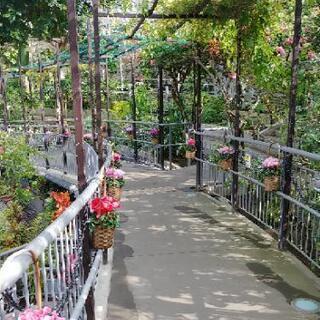一緒に花回廊に行ってくれる方募集中! - メンバー募集