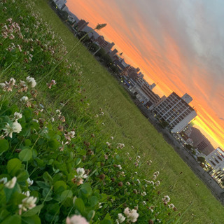 焚き火しましょう🥰 - 広島市