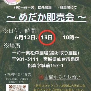 めだか即売会　6月13日　なとりめだか　出店します。