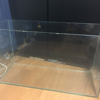 ４５㌢×２２㌢×高さ２０㌢水槽の画像