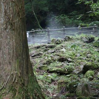 コンパ、バーベキュー、パーティーハイキング仲間募集 - 松山市