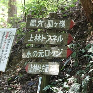 コンパ、バーベキュー、パーティーハイキング仲間募集 - 婚活