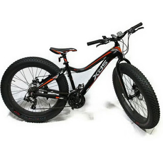 自転車、ファットバイク、マウンテンバイク