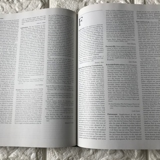 THE  ENCYCLOPEDIＡ NEW YORk CITYの画像