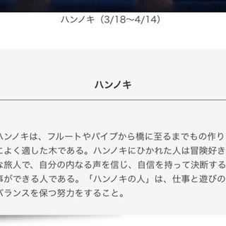 【美品】ハリーポッターの杖　誕生月の杖 ハンノキの杖の画像