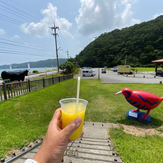 北部で飲みとかご飯とか