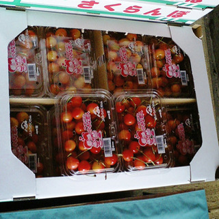 さくらんぼ集荷！！ヤマト運輸でのお仕事になります！の画像