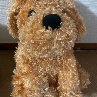 【決定】わんちゃん/中目黒駅徒歩7分の画像