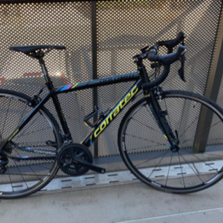コラテックドロミテ2015 ロードバイク