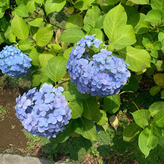 緩い雑談
