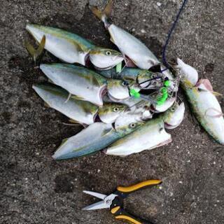 釣り仲間募集です！