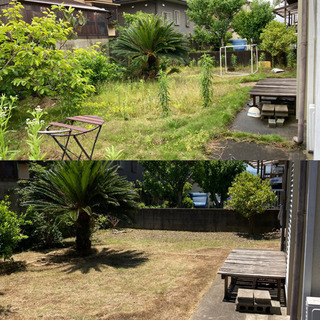 草刈りします☺️随時受付中です。
