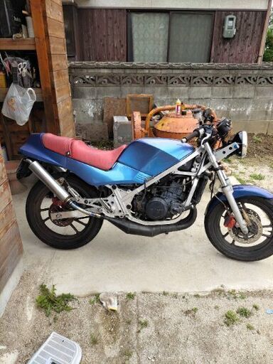 ＲＧ２５０ガンマ