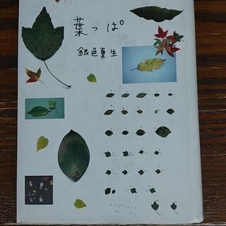 決まりました(^ ^)銀色夏生（写真集・詩)