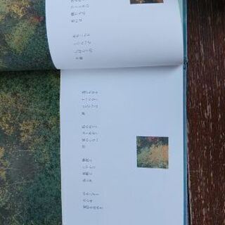 決まりました(^ ^)銀色夏生（写真集・詩)の画像