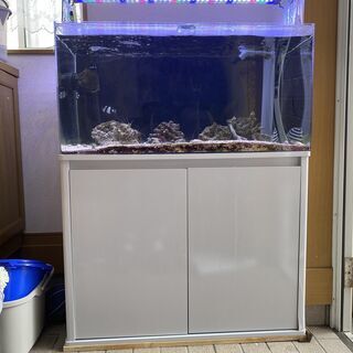 １０ケ月使用の９０㎝オーバーフロー水槽セットお譲りします