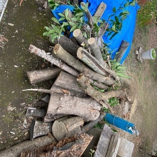 あげます　木材③ 工芸資材　キャンプ薪の画像