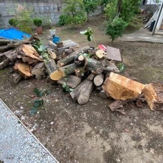 あげます　木材③ 工芸資材　キャンプ薪の画像