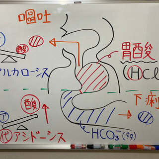 【看護学生向け　個別学習サポート】課題対策、実習対策、国家試験対策の画像