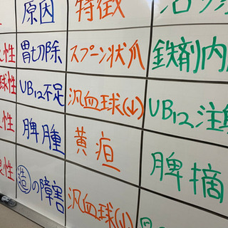 【看護学生向け　個別学習サポート】課題対策、実習対策、国家試験対策の画像