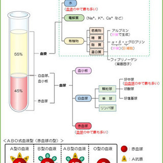 【看護学生向け　個別学習サポート】課題対策、実習対策、国家試験対策の画像