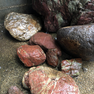 【あげます】土留め、庭石の画像