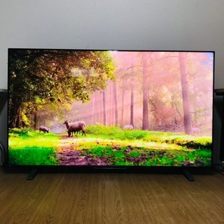 ⑤即日受渡❣️4ヶ月前購入 東芝REGZA75型TV 4K内蔵 ...